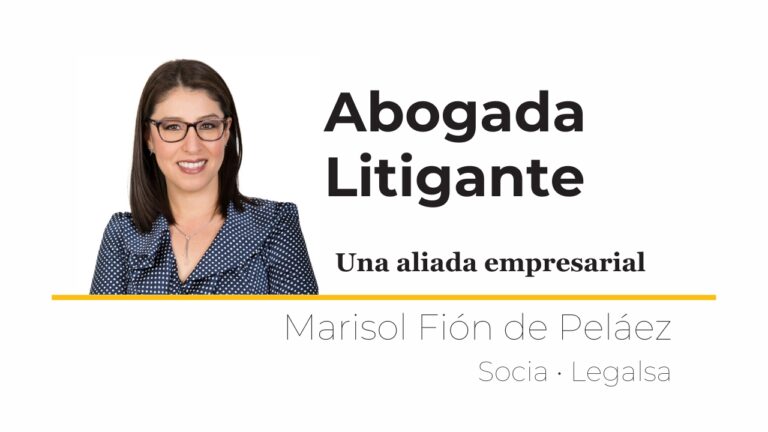 Abogada Litigante – Una aliada empresarial